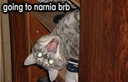 narnia-cat.jpg?w=450&h=289